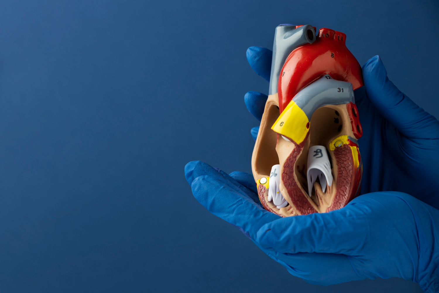 Most Heart Conditions Are More Treatable Than You Think.