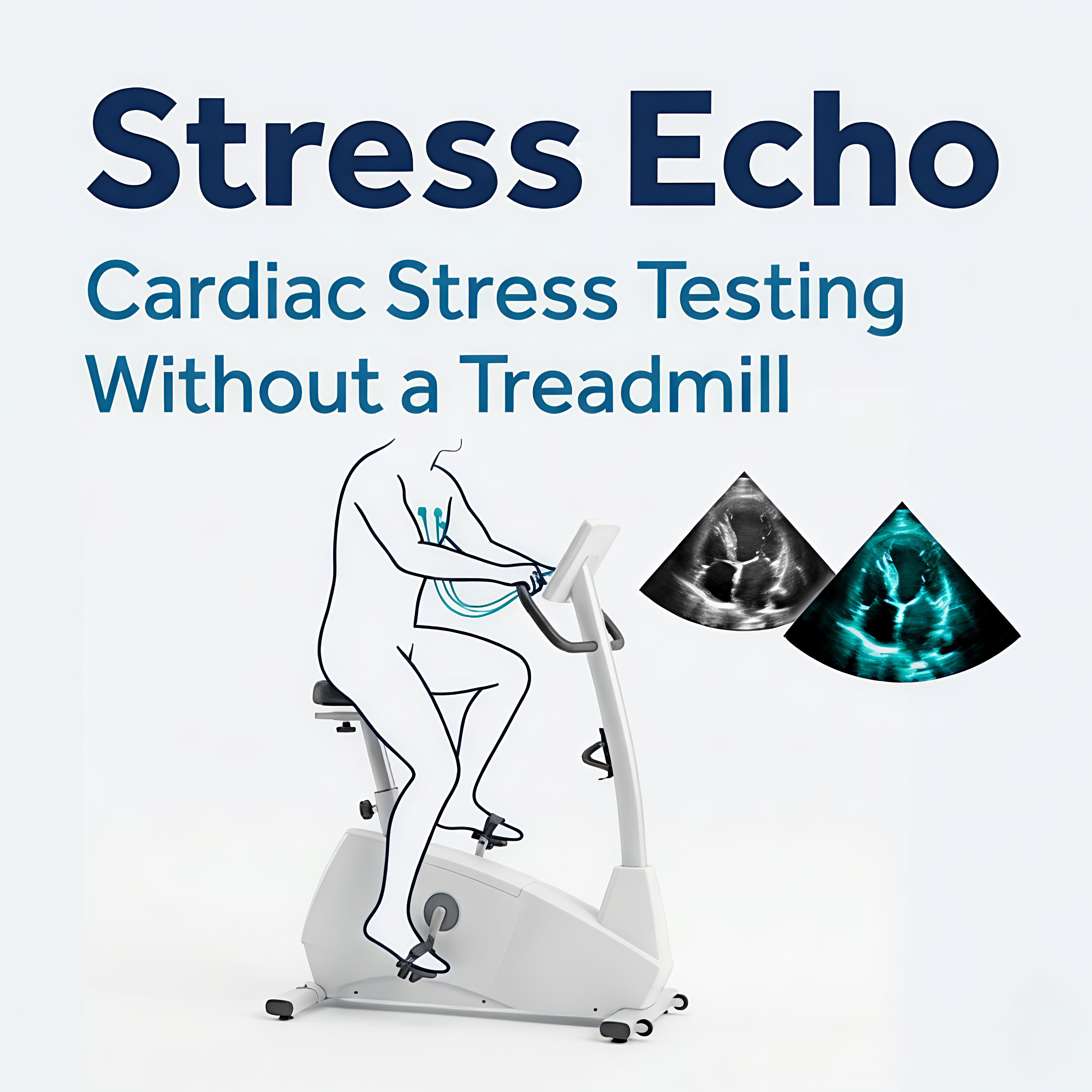 Stress Echo / Bicycle Ergometry