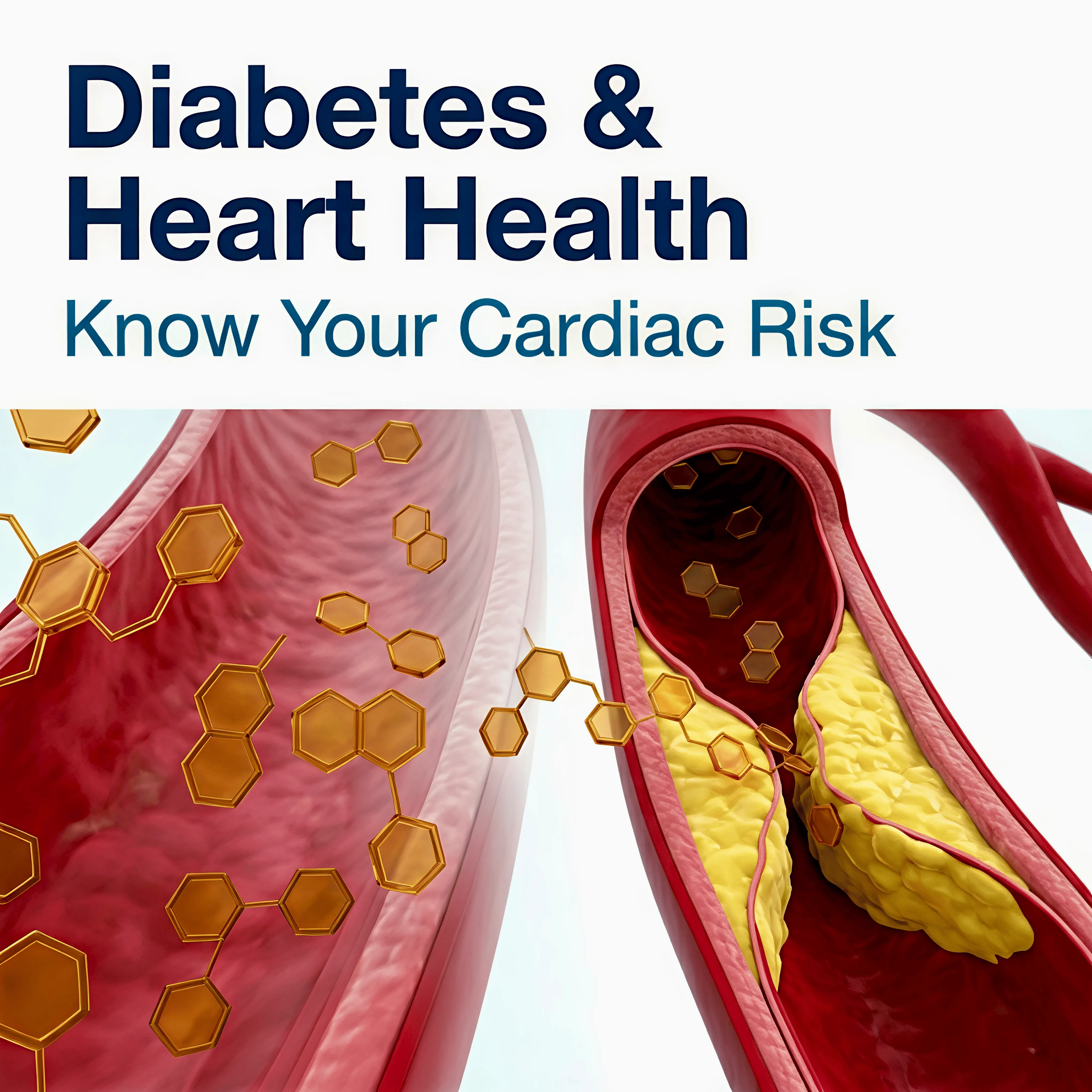 Diabetes and Heart Health